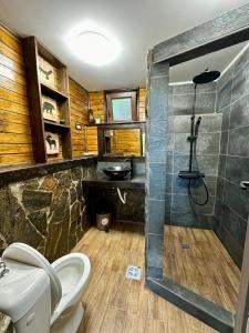 a bathroom with a shower and a toilet and a sink at Cabana Zimbru Transfagarasan in Arefu