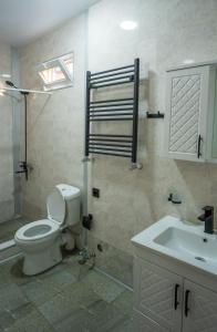 uma casa de banho com um WC e um lavatório em Дом тсивадзе em Kobuleti