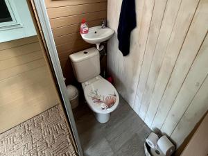 a small bathroom with a toilet and a sink at Chatka pod Javorovým in Třinec