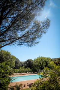 - une vue sur la piscine bordée de chaises et d'arbres dans l'établissement Domaine de Verdagne, à Gassin