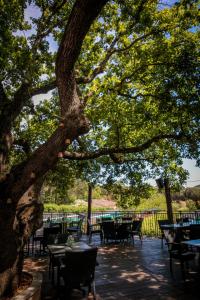 un patio con tavoli e sedie sotto un albero di Domaine de Verdagne a Gassin