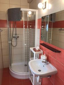 une salle de bain avec un lavabo et une douche dans l'établissement Kwatery prywatne pokoje i apartament JOANNA w Grzybowie, à Grzybowo 30 autres photos