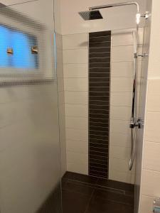 a shower with a glass door in a bathroom at Ferienhaus Soleblick in Bad Salzungen +13 photos