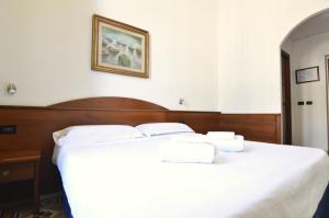 Postel nebo postele na pokoji v ubytování Hotel Palazzo Vecchio