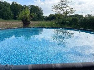a large blue swimming pool in a field at Weberhof Apartment 2 in Münster