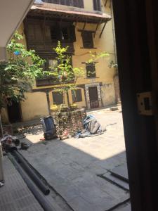 Fotografie z fotogalerie ubytování Bhrikuti Stay - Patan Durbar Square v destinaci Patan
