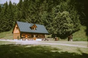 ein Blockhaus mit einem grünen Dach und einem Picknicktisch in der Unterkunft NaturparkResort s`Keuscherl in Wildalpen