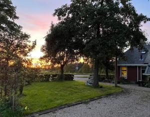 um quintal com uma árvore e uma casa em Hústerheide em Noordbergum