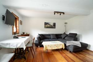 ein Wohnzimmer mit einem Sofa und einem Tisch in der Unterkunft NaturparkResort s`Keuscherl in Wildalpen