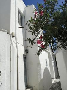 Fotografie z fotogalerie ubytování Paros Paroikia Apartment v destinaci Parikia + 8 fotografií