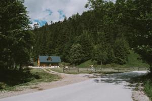 Príroda v okolí dovolenkového domu
