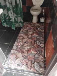 a bathroom with a bunch of shells on the floor at apartman Dragic in Budva