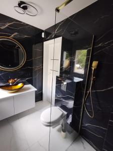 a bathroom with a toilet and a sink and a mirror at Stania Glamour CENTRUM in Boszkowo-Letnisko
