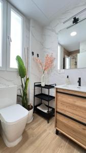 a bathroom with a toilet and a sink and a mirror at Hermosos Apartamentos en pleno Centro in Granada