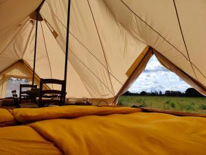 Foto sihtkohas Østermarie asuva majutusasutuse Under Canvas Bornholm galeriist