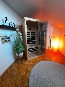 Appartement Gamlitz في غامليتز: غرفة مع دش زجاجي فيها زرع
