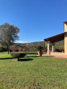 a yard with a building and a field of grass at Il Casale in Limite