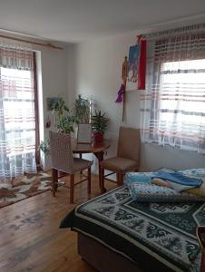 een slaapkamer met een bed en een tafel en stoelen bij Rooms Apartment Durmitor in Žabljak
