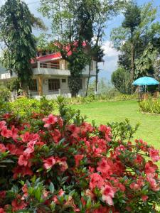 a bush of red flowers in front of a house at Bloomfield Farmhouse and Eco-Resort in Darjeeling