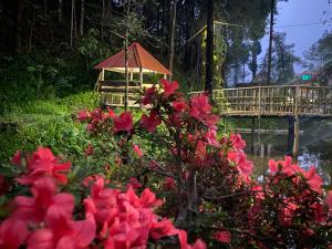 een tuin met roze bloemen en een brug op de achtergrond bij Bloomfield Farmhouse and Eco-Resort in Darjeeling