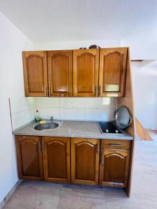 Dapur atau dapur kecil di Small Bosnian House