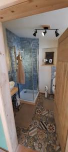 a bathroom with a shower and a toilet in it at ländlicher öko-flair im Strohhaus in Frickingen
