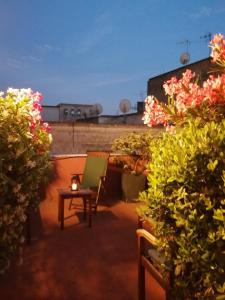 A garden outside I DIOSCURI