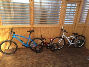 Jazda na bicykli v okolí ubytovania Apartament 'Aleks' Tykocin