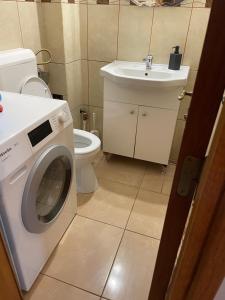 a bathroom with a washing machine and a sink at VILLA BY THE LAKE in Curtea de Argeş +22 photos