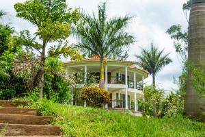 Nile Retreat - Luxury Villa in Jinja外面的花园