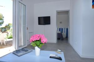 TV a/nebo společenská místnost v ubytování Corsicadream Barbicaja, superbe appartement dans villa, vue panoramique mer, piscine, proche Porticcio
