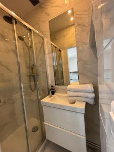 a bathroom with a shower and a sink and a mirror at Appartement 2 pièces in Asnières-sur-Seine