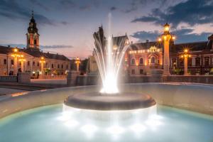 a fountain in front of a building at night at Casa Casy in Oradea
