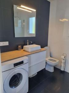 a bathroom with a washing machine and a sink at Le Petit Rocher in Saint-Jean-de-Monts +18 photos