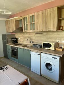 Kuchyň nebo kuchyňský kout v ubytování Apartment Mihaela