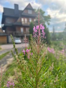 a plant with pink flowers in front of a house at Willa Alta in Bukowina Tatrzańska