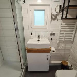 een kleine badkamer met een wastafel en een toilet bij Prullenbos Tiny Nutz Nest in Wetteren