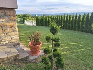 Taman di luar Apartmani Milosavljević