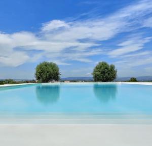 uma piscina de água azul com duas árvores ao fundo em Carrua em Marzamemi