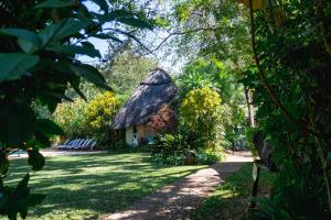 a thatch roofed house with chairs in a yard at Bayete Guest Lodge in Victoria Falls