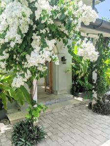 a tree with white flowers in front of a building at SaffronStays Belle Maison - 3BR French style luxury villa with pool, bougainvillae views & alfresco dining near Kihim Beach in Alibaug