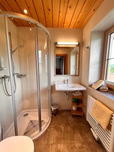 ein Bad mit einer Dusche und einem Waschbecken in der Unterkunft LA MONTANA - Ski & Hiking LODGE in Schladming