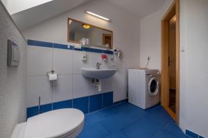 a bathroom with a toilet and a sink and a washing machine at Apartmány Dreams in Bešeňová