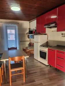 Kuchyň nebo kuchyňský kout v ubytování Roč Holiday Home