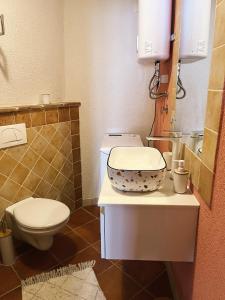 a bathroom with a toilet and a bowl on a counter at Romantic studio old town in Vrsar
