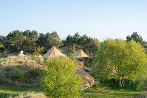 eine Gruppe von Zelten auf einem Feld mit Bäumen in der Unterkunft Little Canvas Escape in Nes
