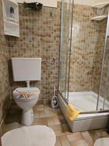 a bathroom with a toilet and a shower at Apartmani Nata in Maslinica