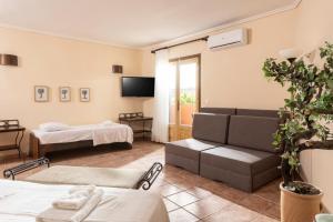 Μια τηλεόραση ή/και κέντρο ψυχαγωγίας στο Ammon Garden Hotel