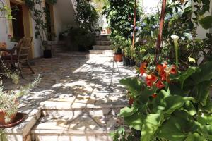 a patio with a bunch of plants and flowers at Antigone's Studio in Kassiopi