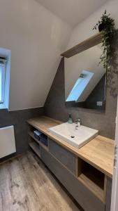 Koupelna v ubytování Klosterhof Aue W 7